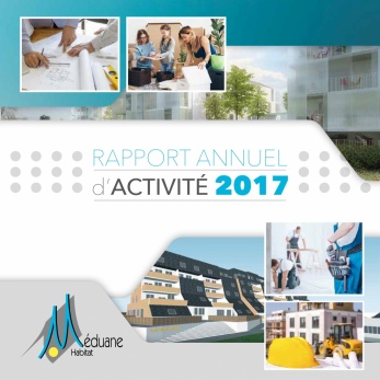 Rapport d'Activité 2017