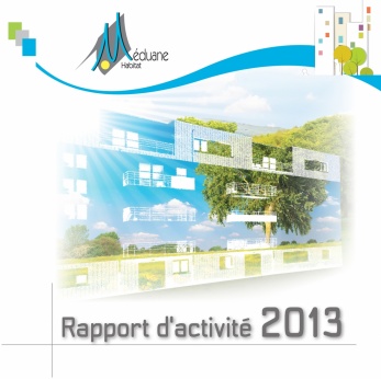 Rapport d'Activité 2013