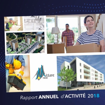 Rapport d'Activit&eacute; 2018