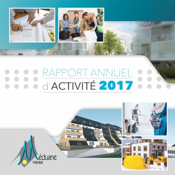 Rapport d'Activit&eacute; 2017