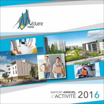 Rapport d'Activit&eacute; 2016