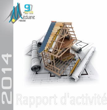 Rapport d'Activité 2014