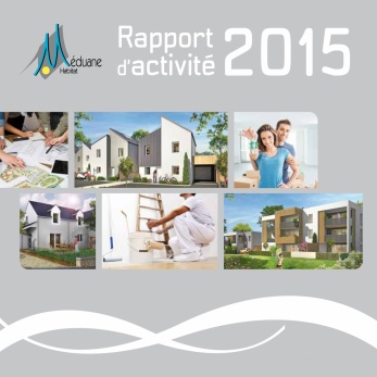 Rapport d'Activité 2015